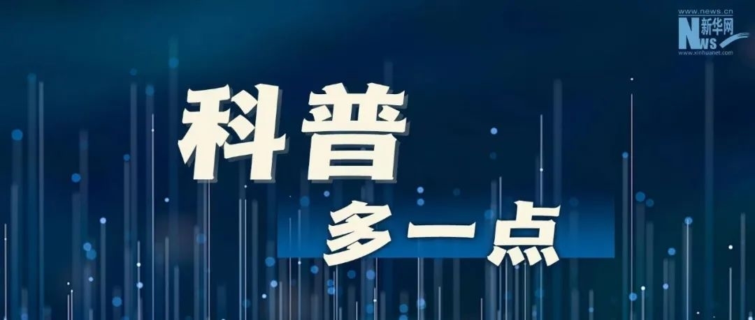 维生素C是西梅的16倍，还高钙高蛋白质！这种菜现在吃正好