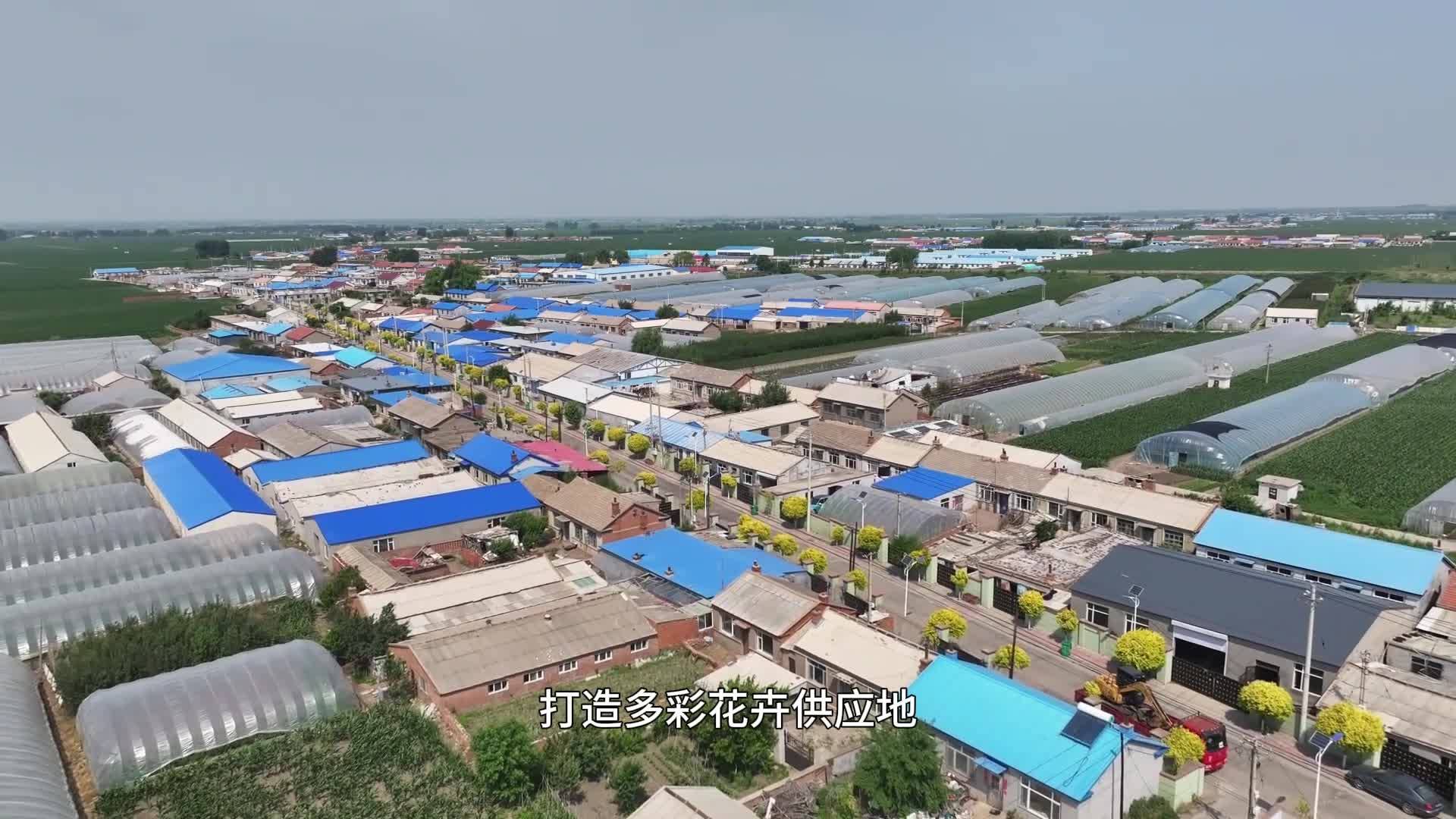 【牢记嘱托 感恩奋进 在中国式现代化建设中展现更大作为】苇子沟街道：培育特色产业 改善人居环境 让幸福生活可感更可及