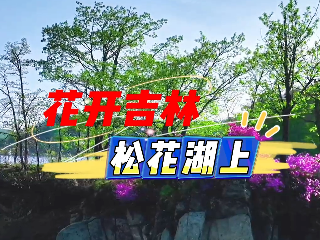 花开吉林 松花湖上
