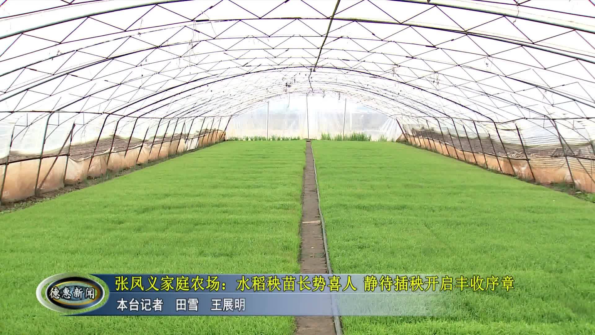 5月9日德惠新闻