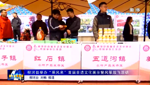 柳河县举办“乘风来”首届非遗文化展示暨风筝放飞活动