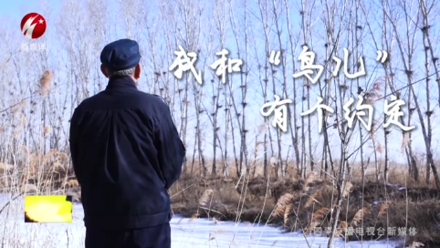 我和“鸟儿”有个约定