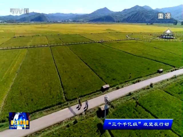 通化县以产业集群打造高质量发展主引擎