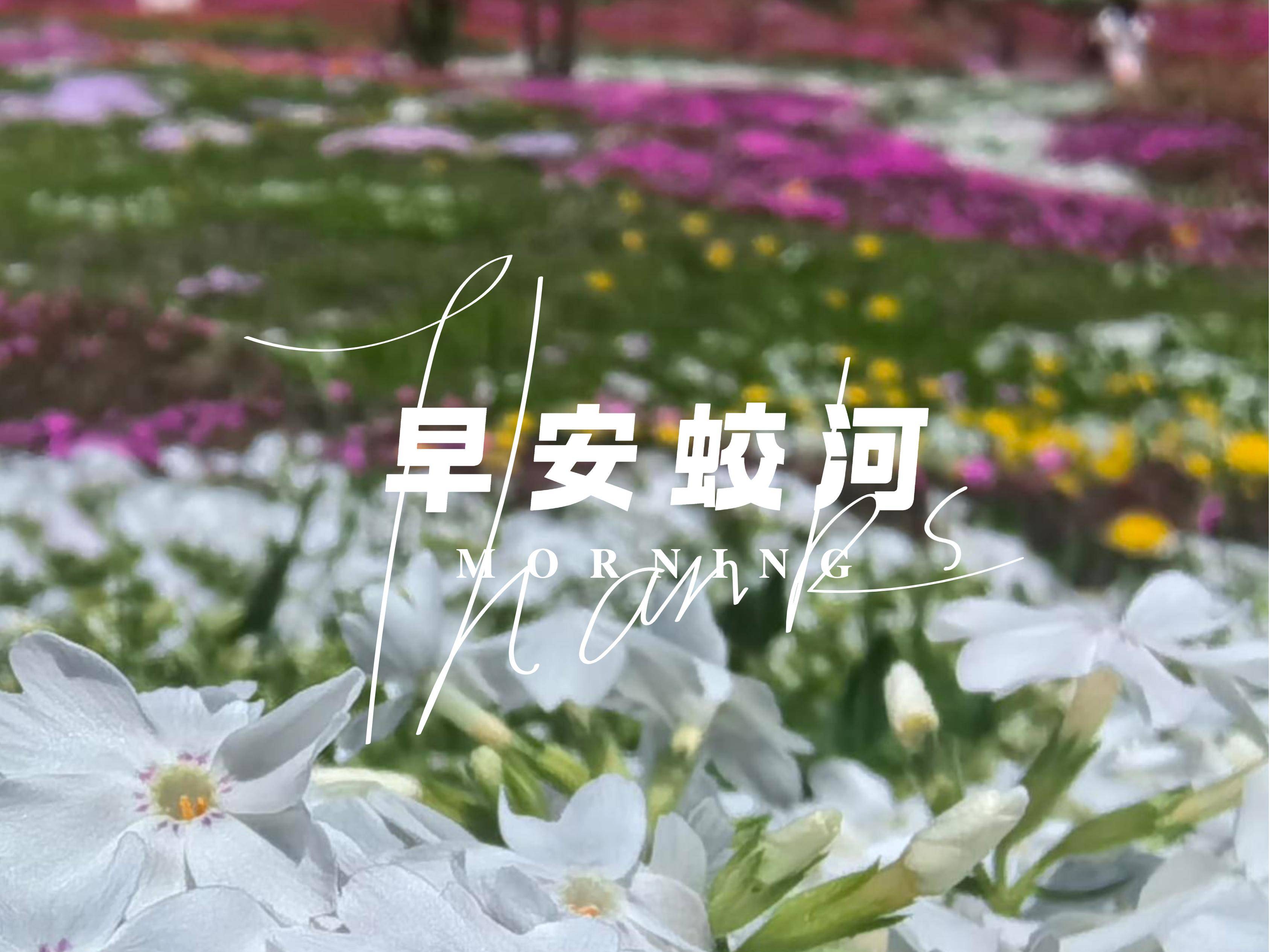 早安蛟河