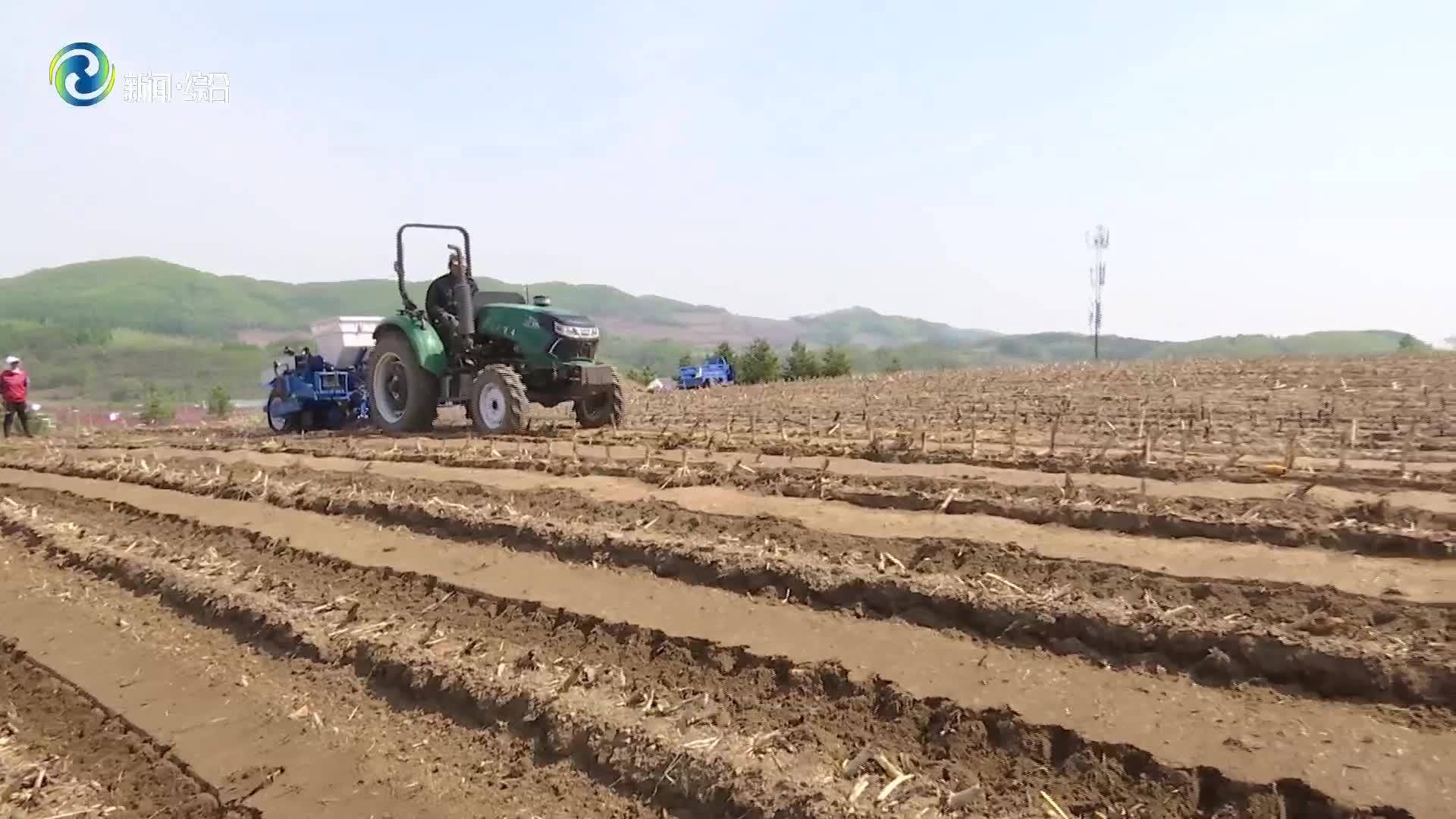 辉南县：免耕播种助力高钙鲜食玉米 开启智慧种植新篇章
