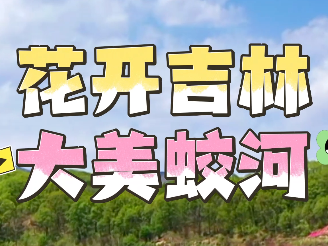 花开吉林 大美蛟河丨幽芳谷