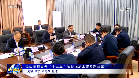 高山主持召开“十五五”项目谋划工作专题会议