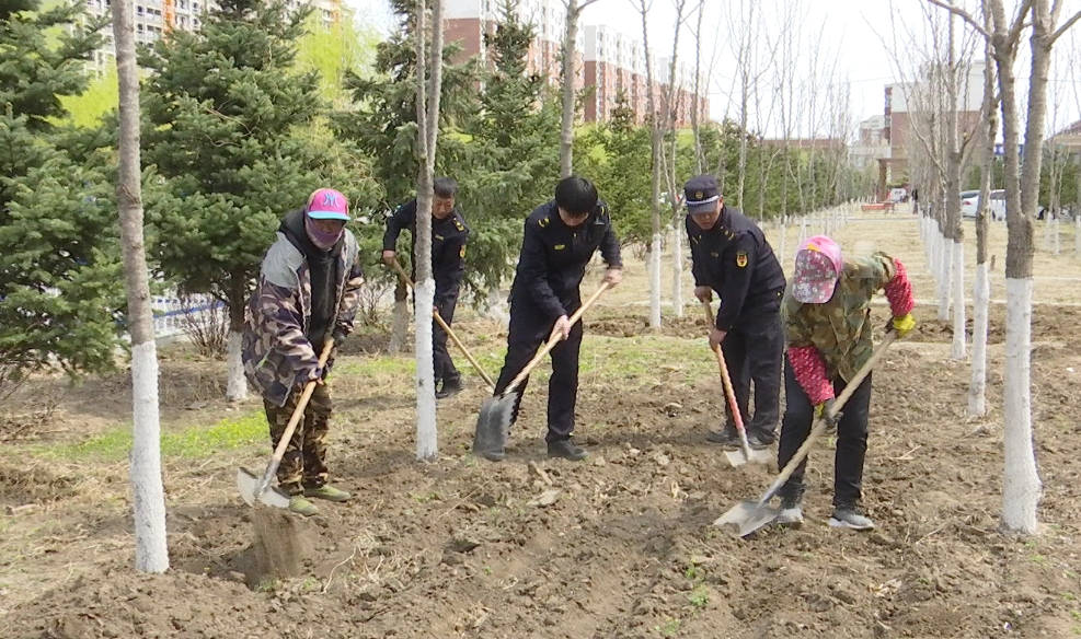 【文明大安 你我共建】大安市城市管理行政执法局：整治毁绿种菜 守好城市“绿线”
