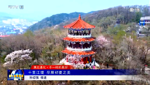 十里江堤  尽展初夏之美