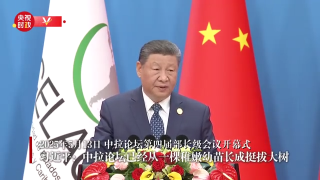 独家视频丨习近平：中拉论坛已经从一棵稚嫩幼苗长成挺拔大树