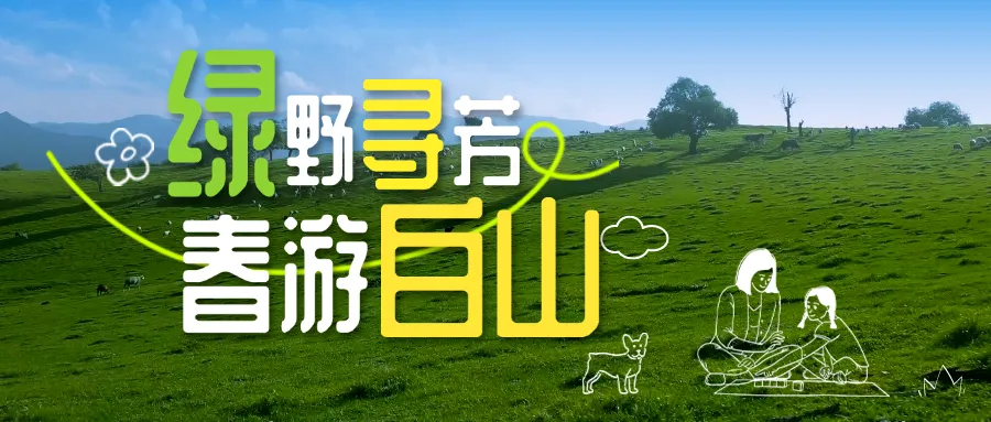 绿野寻芳 春游白山 | 带你一起解锁白山春日限定！