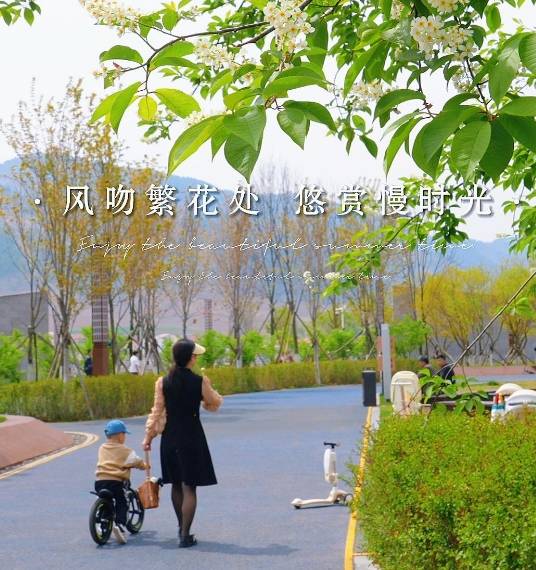风吻繁花处 悠赏慢时光#花开吉林#临江四季#花开时节遇见最美城市#杏好有你杏会吉林#夏日美景