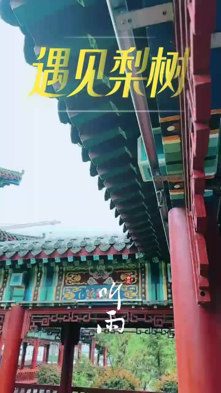 慢下来，静下来。听雨落，看花开……