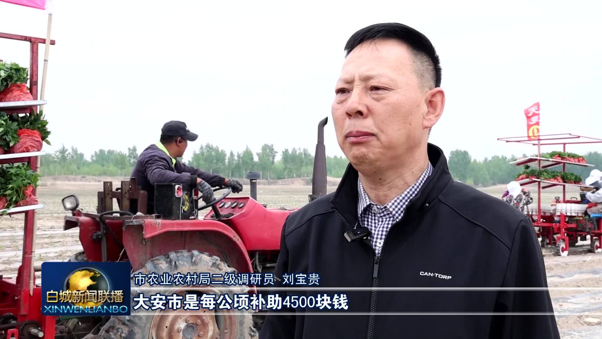 2025.5.14 白城新闻联播