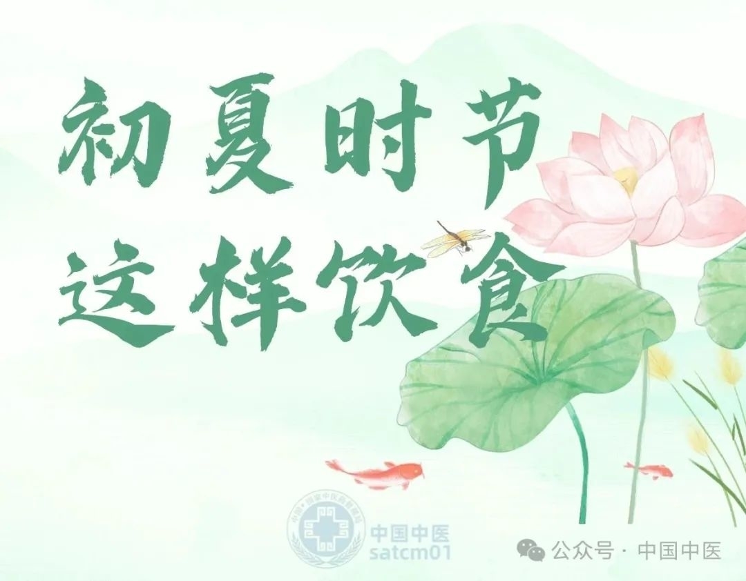 几款适合夏天的药膳，健脾养心助正气，焕发充沛精力~