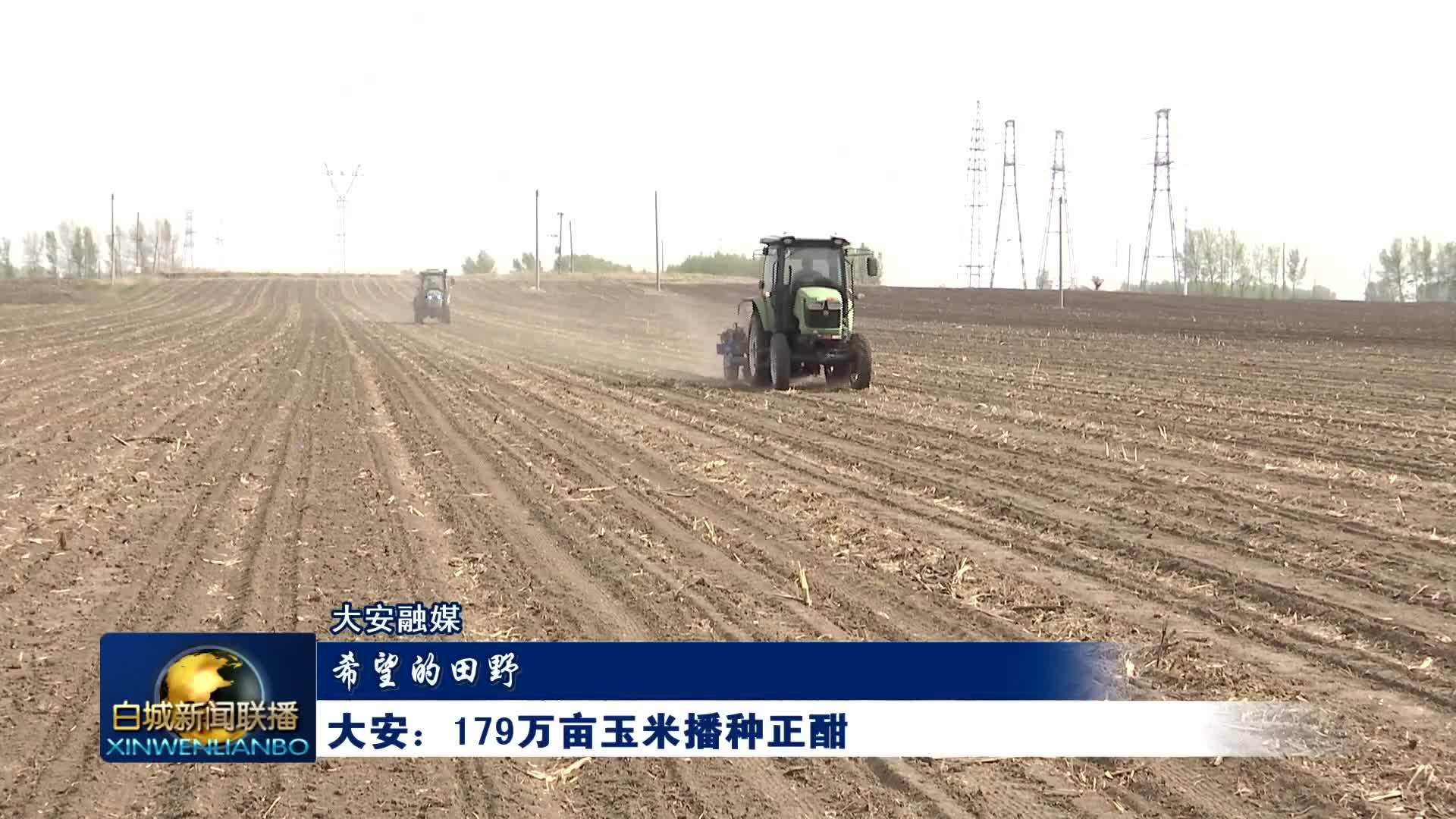 希望的田野丨大安：179万亩玉米播种正酣