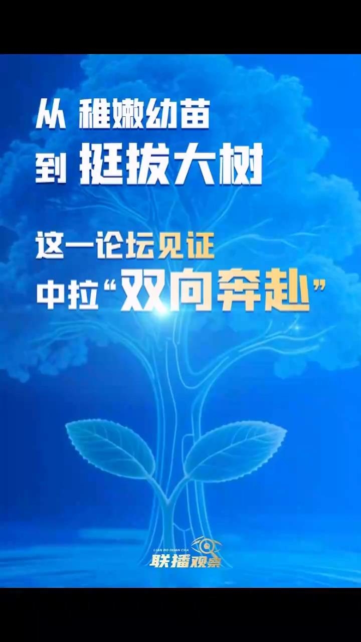 联播观察｜从稚嫩幼苗到挺拔大树，这一论坛见证中拉“双向奔赴”