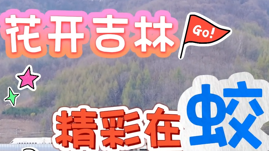 花开吉林 精彩在蛟