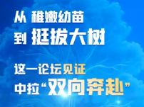 联播观察｜从稚嫩幼苗到挺拔大树，这一论坛见证中拉“双向奔赴”