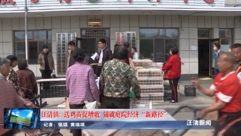 05月16日-汪清镇: 送鸡苗促增收 铺就庭院经济“新路径”