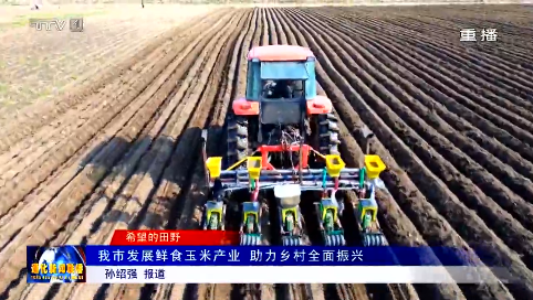 我市发展鲜食玉米产业   助力乡村全面振兴