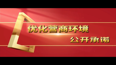 【优化营商环境公开承诺】县自然资源局副局长  李冬梅