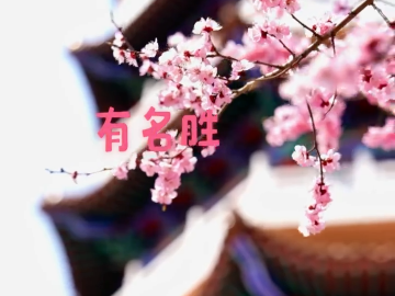用陕北民歌打开梅河文旅