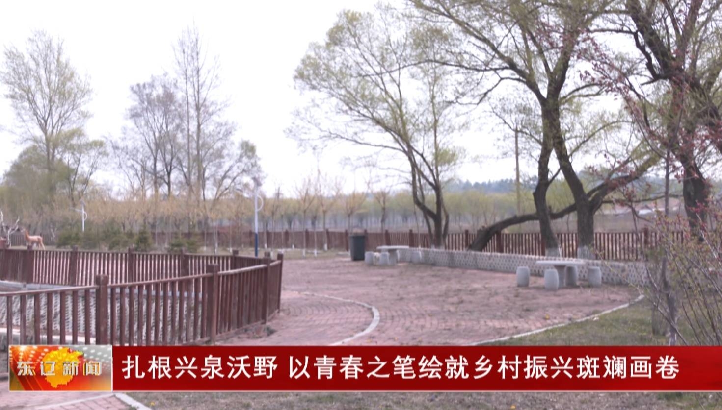 《奋斗者 正青春》专栏：扎根兴泉沃野 以青春之笔绘就乡村振兴斑斓画卷