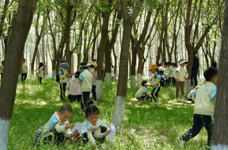 东丰县第三幼儿园探索自然之旅
