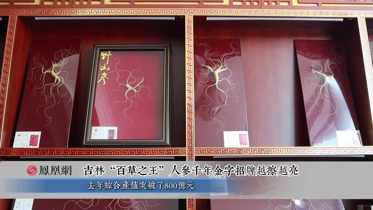 吉林省委书记黄强：长白山人参线下市场实现了“货真价实”，金字招牌越擦越亮