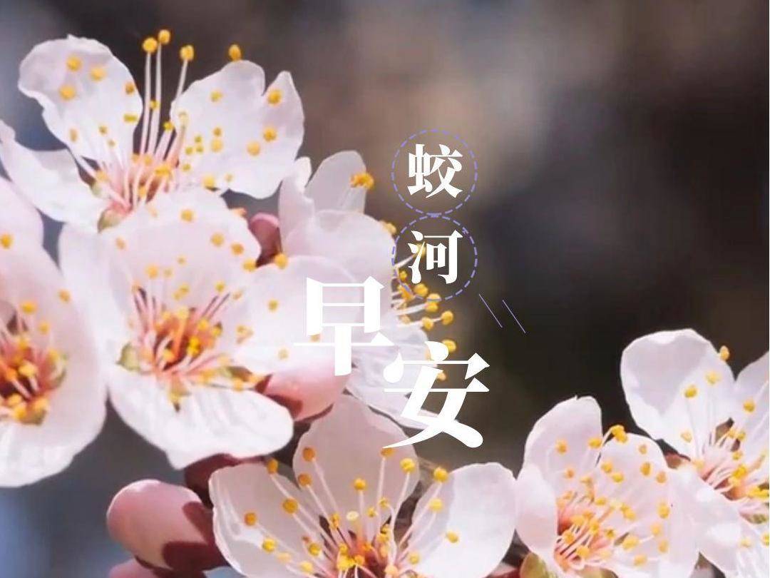 早安蛟河