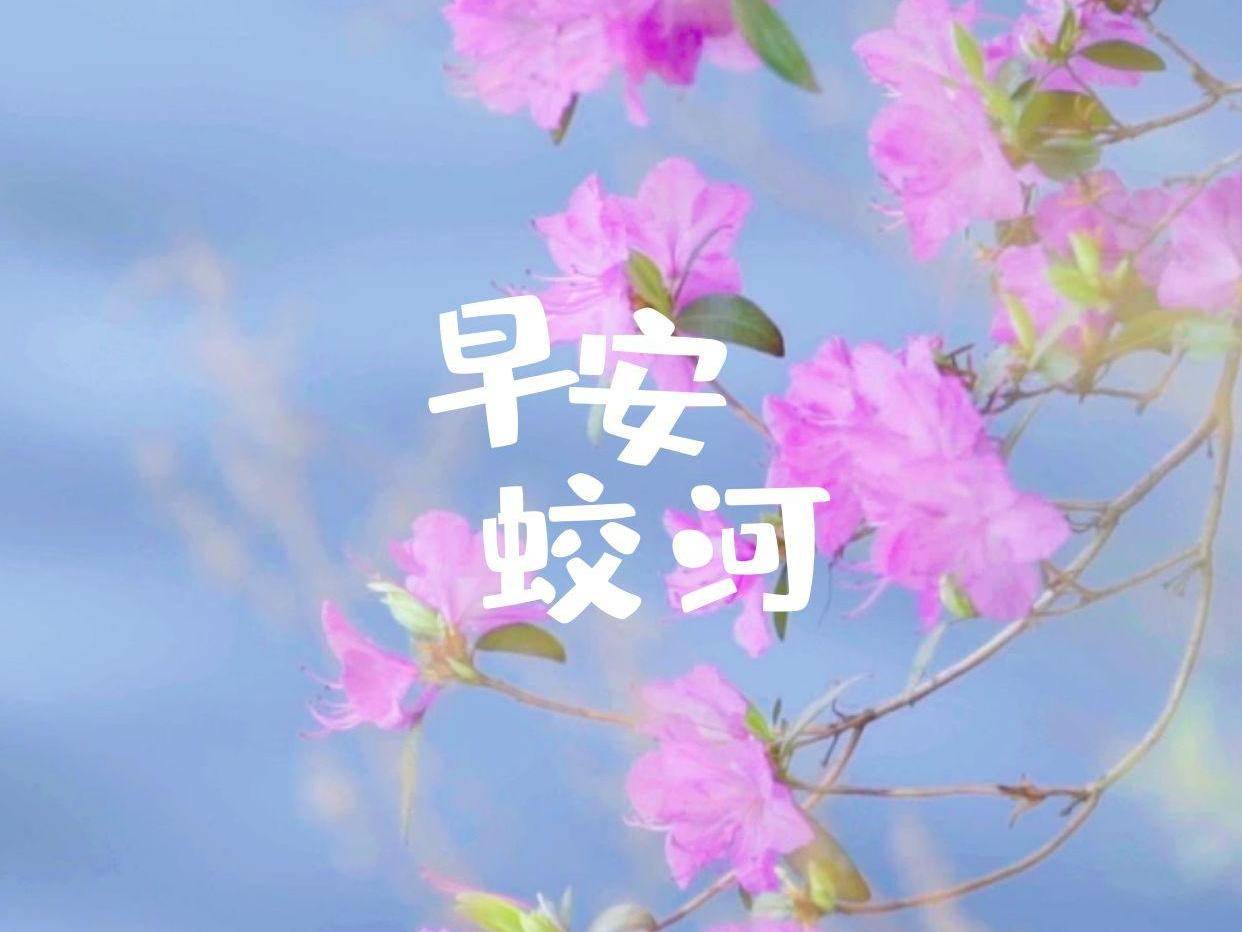 早安蛟河
