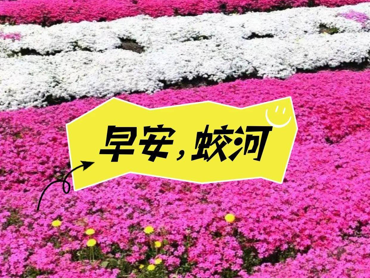 早安蛟河