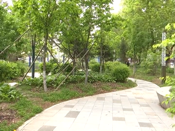预计本周我区气温偏低 降水明显偏少