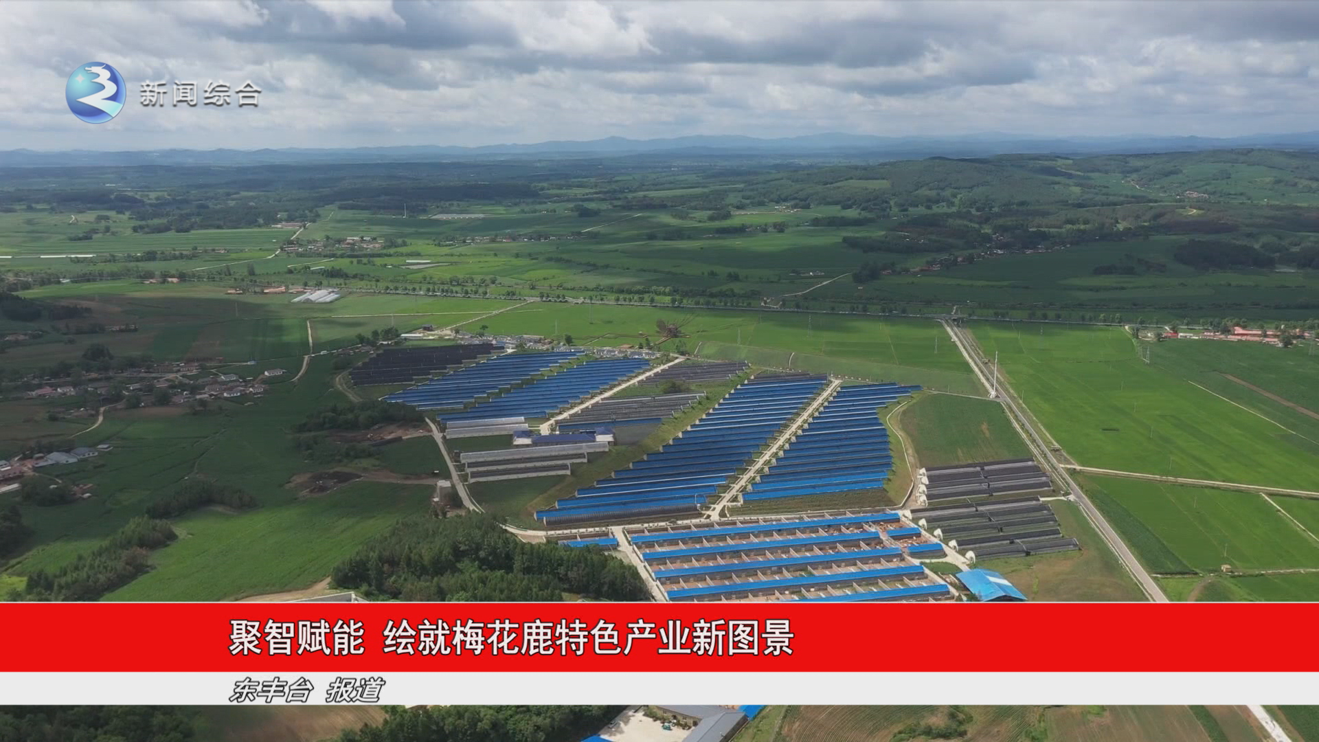 聚智赋能 绘就梅花鹿特色产业新图景