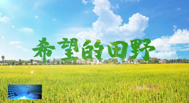 《希望的田野》专栏：建平乡康平村希友合作社错峰粘玉米二轮开种