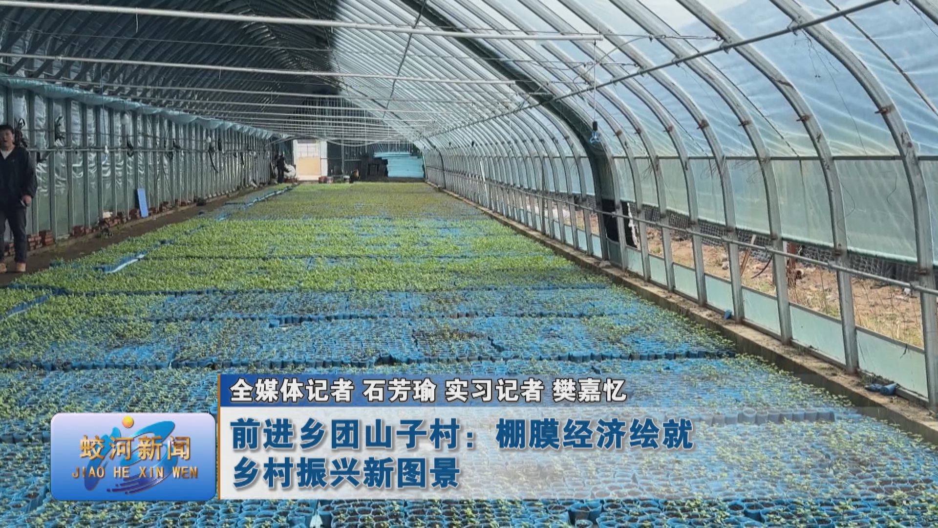 【春启新程 蛟河奋进】蛟河市前进乡团山子村：棚膜经济绘就乡村振兴新图景