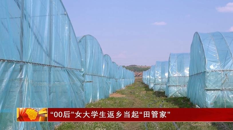 “00后”女大学生返乡当起“田管家”