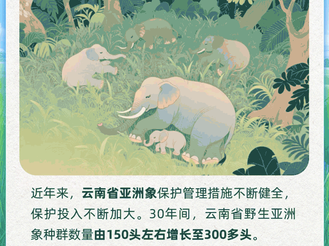 学习时节丨总书记引领绘就万物共生的美好画卷