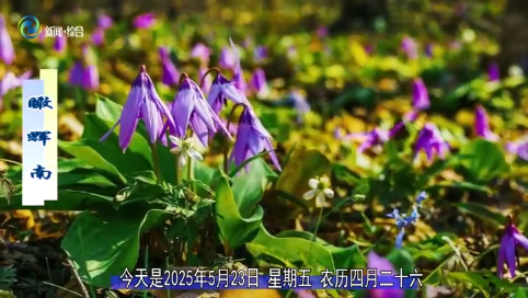 瞰辉南2025年05月23日