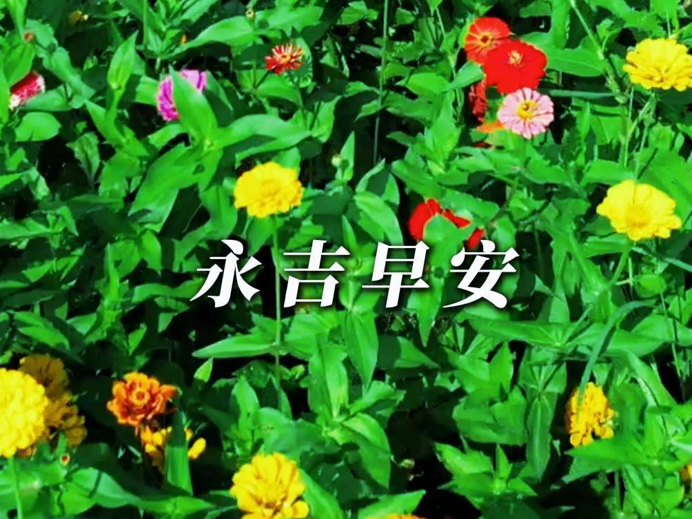 《永吉 早安》2025.5.26