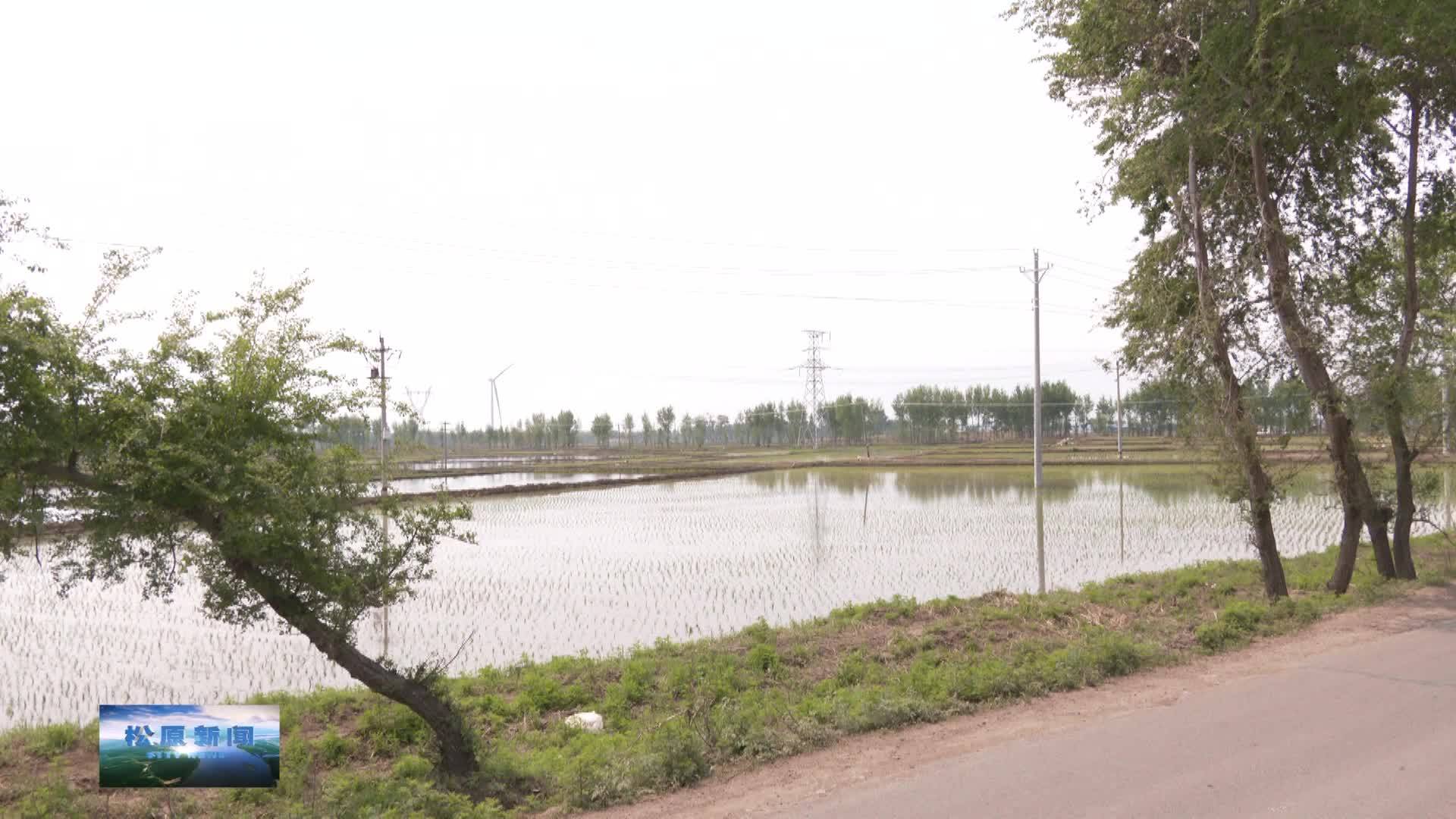 乡村振兴进行时  宁江区毛都站镇：万象“耕”新绘丰景
