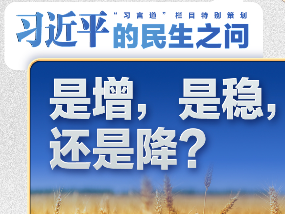 习近平的民生之问｜“是增，是稳，还是降？”
