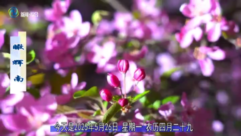 瞰辉南2025年05月26日