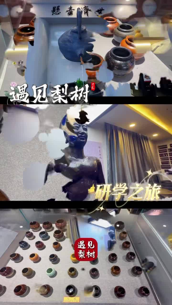 遇见梨树之研学之旅