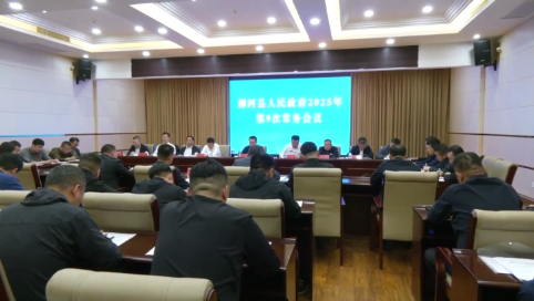 县政府召开常务会议