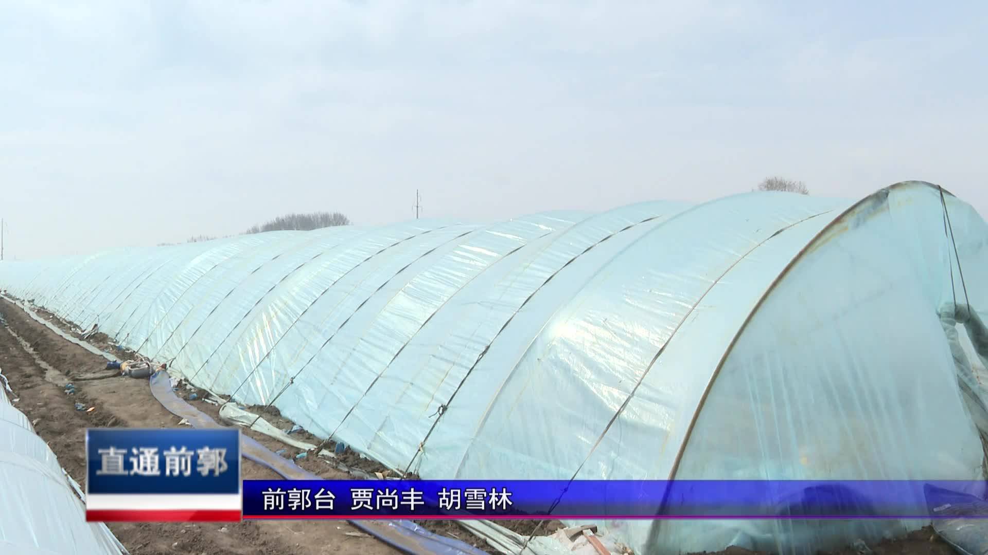 直通县市区2025年5月27日前郭     前郭县八郎镇：大力发展瓜菜复种 促农增收VA0