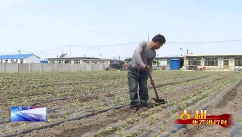 服先镇：激活庭院“方寸地” 绘就乡村振兴图