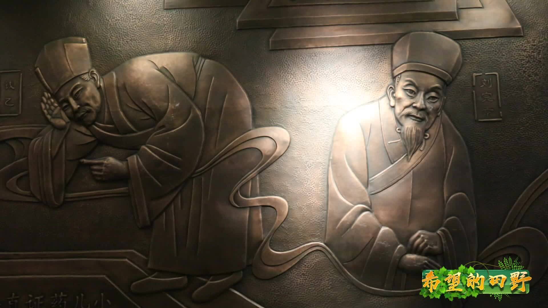 希望的田野丨中医药文化——博大精深的传统智慧与健康密码