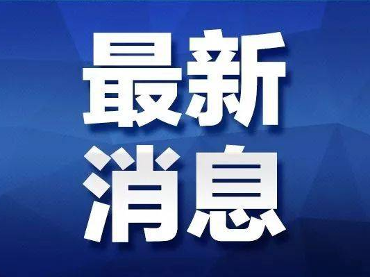 让红领巾在新时代更加鲜艳——习近平总书记致中国少年先锋队第九次全国代表大会的贺信引领少先队事业新发展